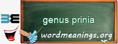 WordMeaning blackboard for genus prinia